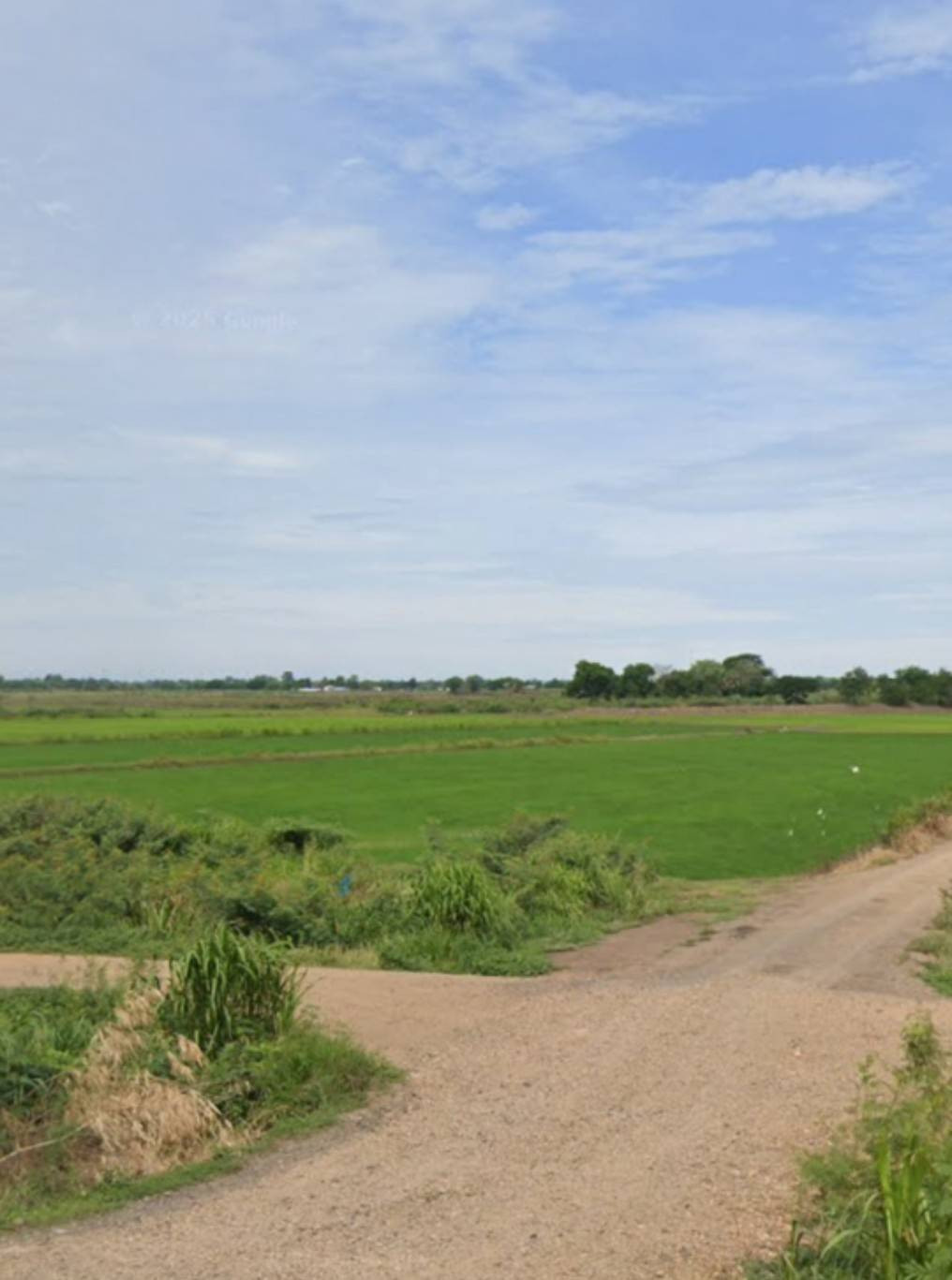 (ที่ดิน แปลงใหญ่ 6 ลบ.) ไม่ไกลจากกรุงเทพ จ.พระนครศรีอยุธยา ต. บ้านขวาง ต. น้ำเต้า อ. มหาราช อ่างทอง-ท่าเรือ – รูปที่ 2