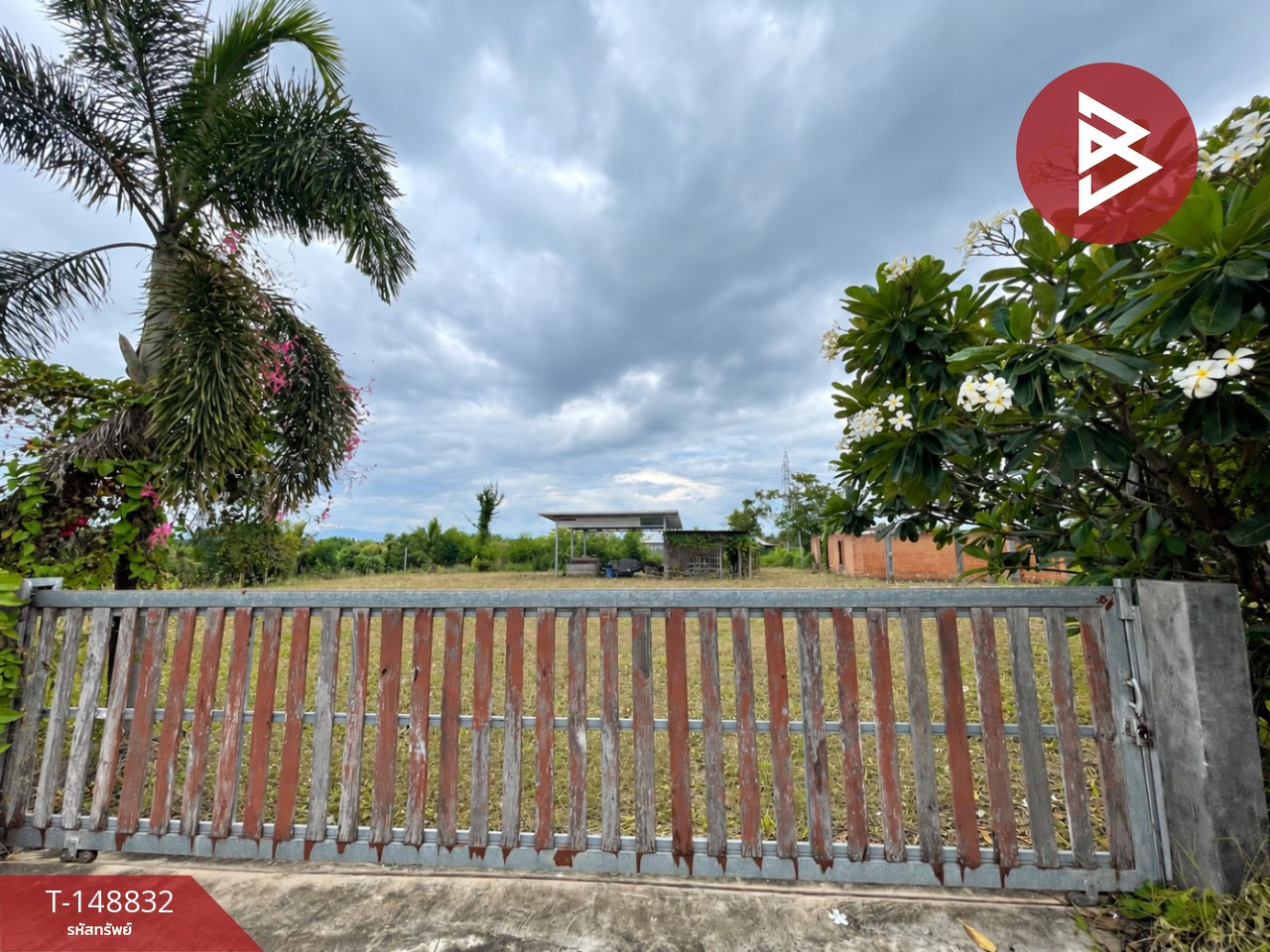 Land for sale, area 5 rai 99.1 square wa, Pa Sang, Lamphun. – รูปที่ 4