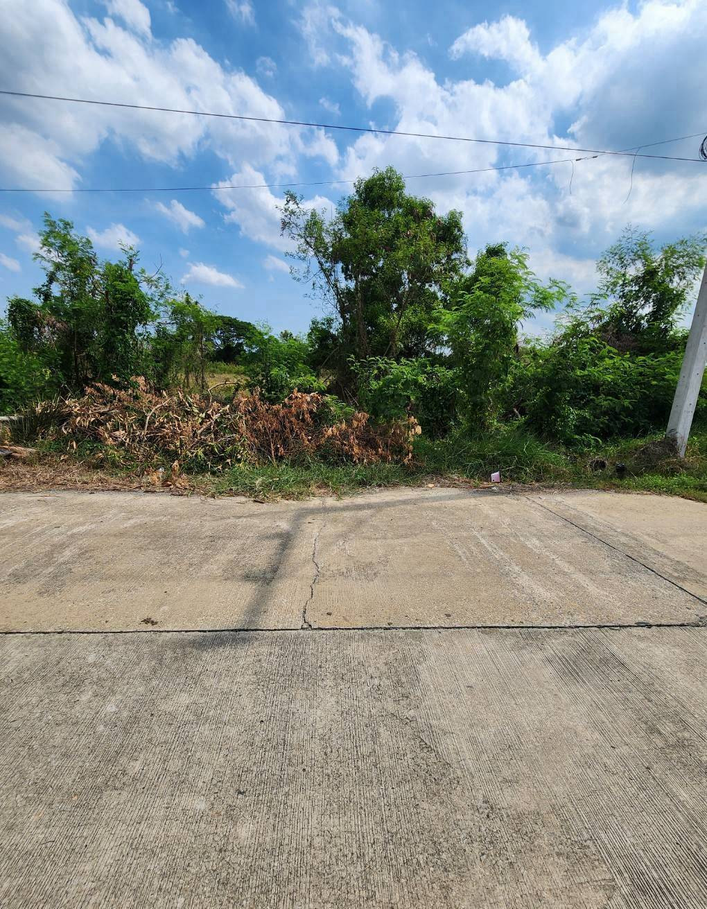 🌾There are 2 plots of land, each 480 sq m. and 589 sq m.⛳️Next to Soi Suwinthawong Road, behind the canal. Khlong Udom Chonchan Subdistrict, Mueang District, Chachoengsao 24000, near Pongphon Market – รูปที่ 2