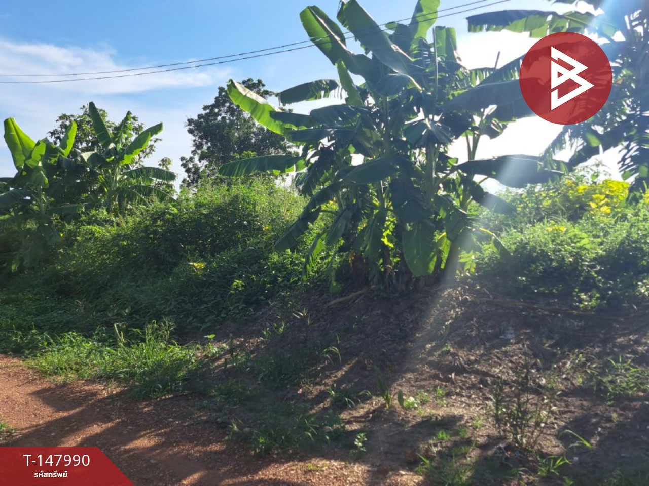 Land for sale, area 1 rai 40 square wa, Ritprasat Road, Bang Kla, Chachoengsao. – รูปที่ 2
