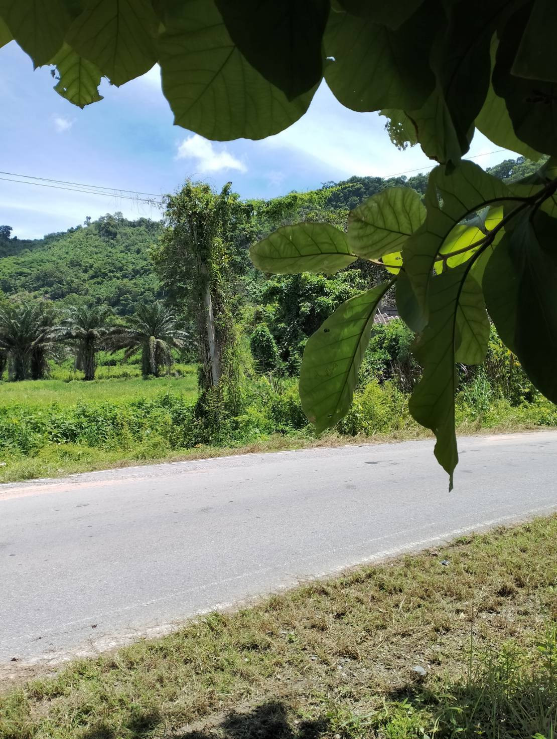 ขาย ที่ดิน 5 ไร่ 28.9 ตร.ว. วิวเขา ทำเลสวย เขาพระ จ.นครนายก  – รูปที่ 3
