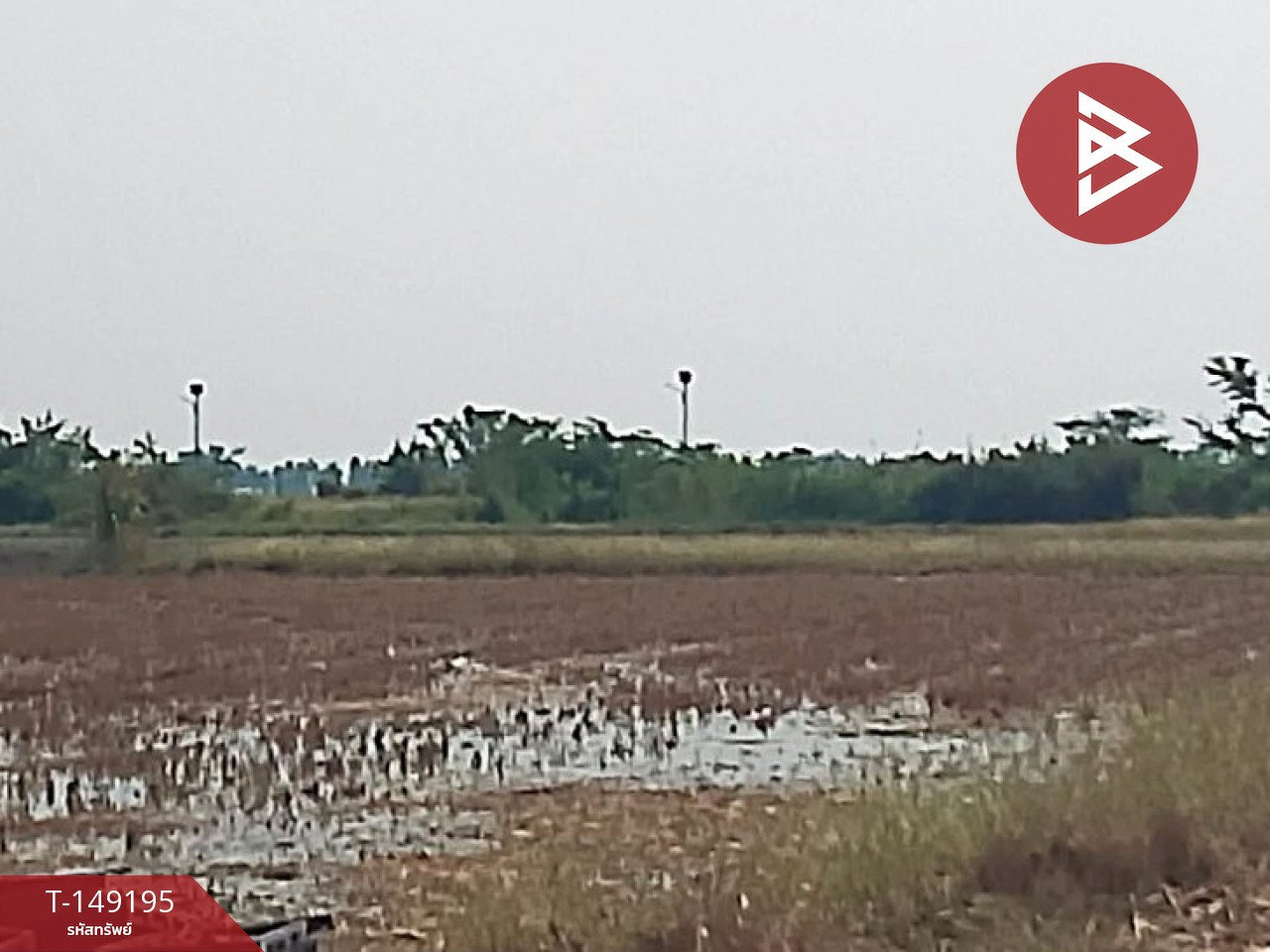 Land for sale, area 3 rai 7.1 square wa, Kamphaeng Saen, Nakhon Pathom. – รูปที่ 3