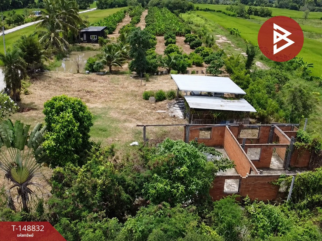 Land for sale, area 5 rai 99.1 square wa, Pa Sang, Lamphun. – รูปที่ 2