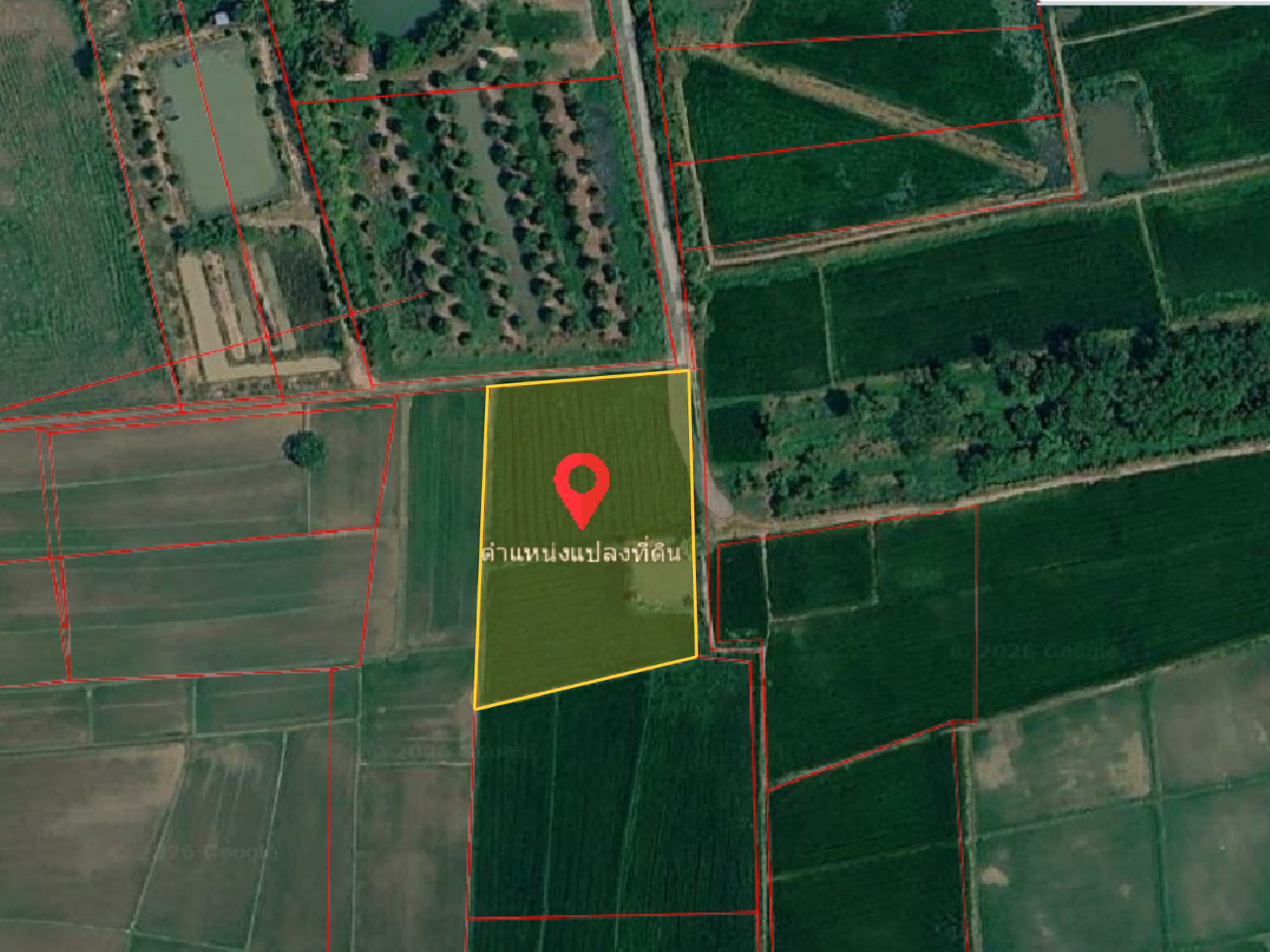 Land for sale, 4 rai 399 sq m., Pak Tok location. Land for sale, 4 rai 399 sq m., Pak Tok location.