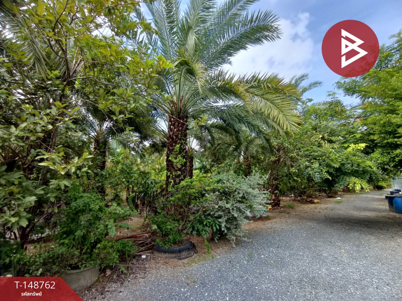 Land for sale, area 12 rai 1 ngan 29.4 sq m, Song Phi Nong, Suphan Buri. – รูปที่ 3