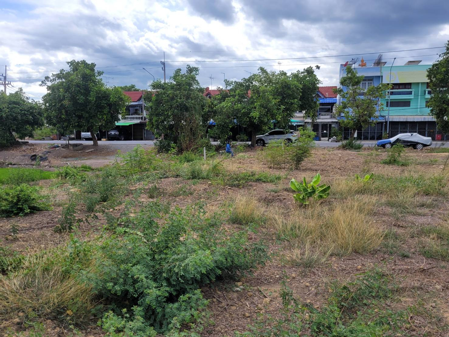 Land for sale in Suphanburi – รูปที่ 4