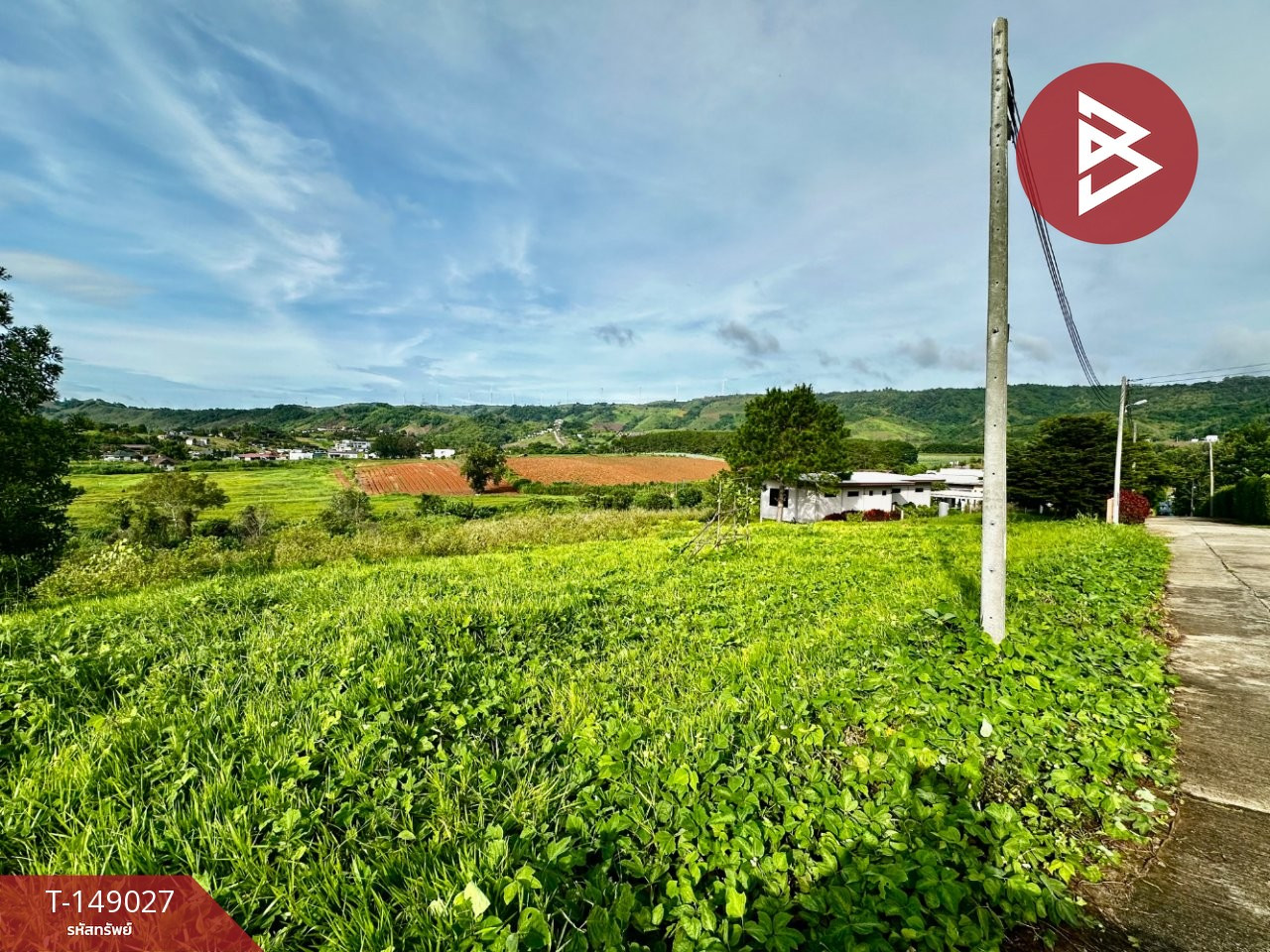 Land for sale, area 5 rai 3 ngan 51 sq m, Khao Kho, Phetchabun. – รูปที่ 4