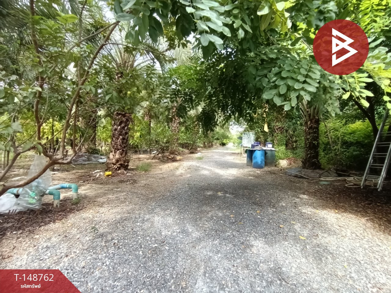 Land for sale, area 12 rai 1 ngan 29.4 sq m, Song Phi Nong, Suphan Buri. – รูปที่ 4