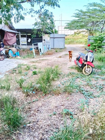 Korat-Khon Kaen bypass, Nong Krathum, land, warehouse, factory for rent. Near Nakhon Ratchasima Administrative Court 1 km., land 2 rai, warehouse 3,200 sq m. – รูปที่ 4
