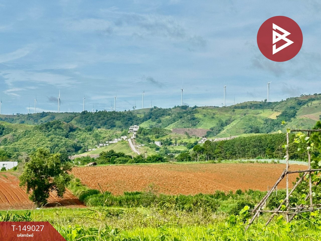 Land for sale, area 5 rai 3 ngan 51 sq m, Khao Kho, Phetchabun. – รูปที่ 2