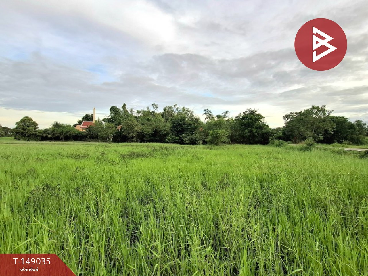 Land for sale, area 6 rai 88 sq m, Changhan, Roi Et. – รูปที่ 4