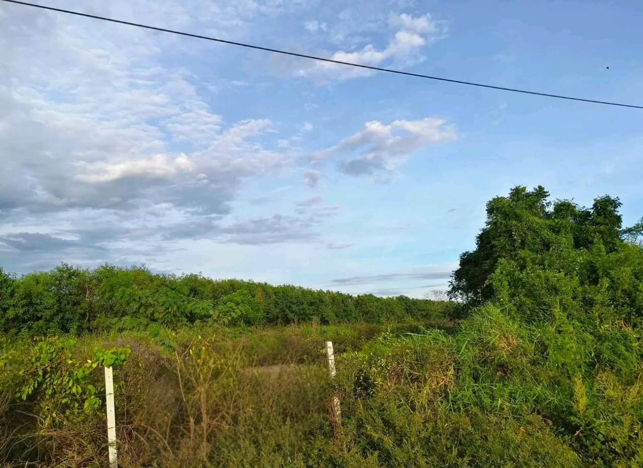 🔥 Beautiful plot of land near Nong Chok Subdistrict Administrative Organization, Bang Pakong 🏭 Suitable for a warehouse-factory | Filled in for more than 20 years! 📐 Area 12 rai 1 ngan 35 sq m 💰 Price only 3.8 million baht/rai – รูปที่ 3