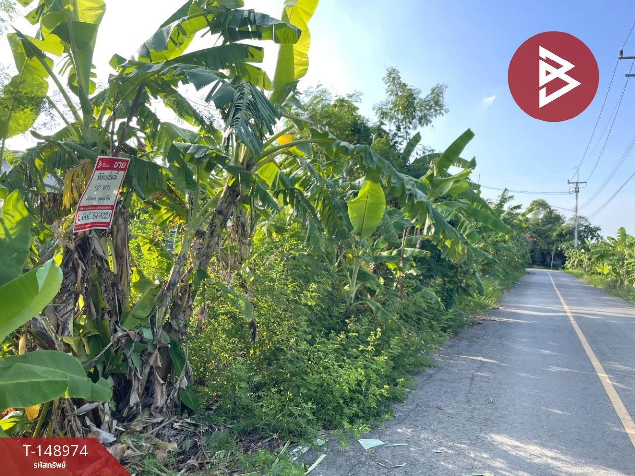 Land for sale, area 92 sq m, Salaya Road 5/8, Phutthamonthon, Nakhon Pathom – รูปที่ 2