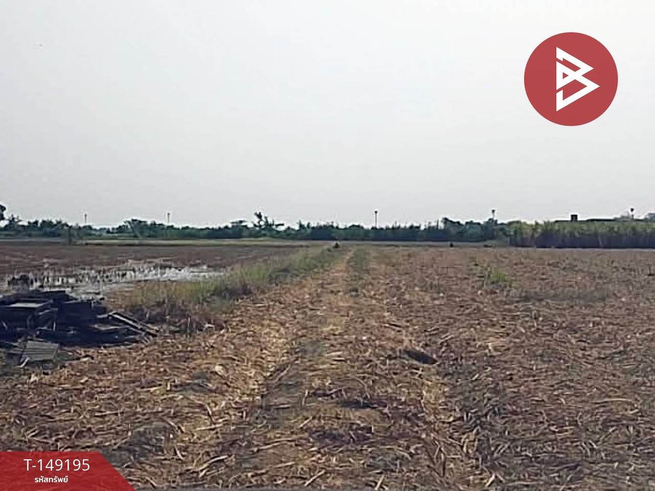 Land for sale, area 3 rai 7.1 square wa, Kamphaeng Saen, Nakhon Pathom. – รูปที่ 2