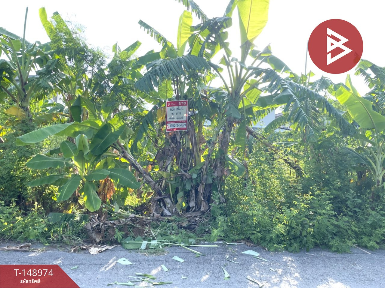 Land for sale, area 92 sq m, Salaya Road 5/8, Phutthamonthon, Nakhon Pathom Land for sale, area 92 sq m, Salaya Road 5/8, Phutthamonthon, Nakhon Pathom