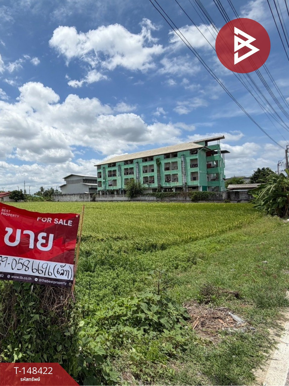 ขายที่ดิน เนื้อที่ 5 ไร่ บางใหญ่ นนทบุรี ทำเลทอง ติดถนนท้องนา ขายที่ดิน เนื้อที่ 5 ไร่ บางใหญ่ นนทบุรี ทำเลทอง ติดถนนท้องนา