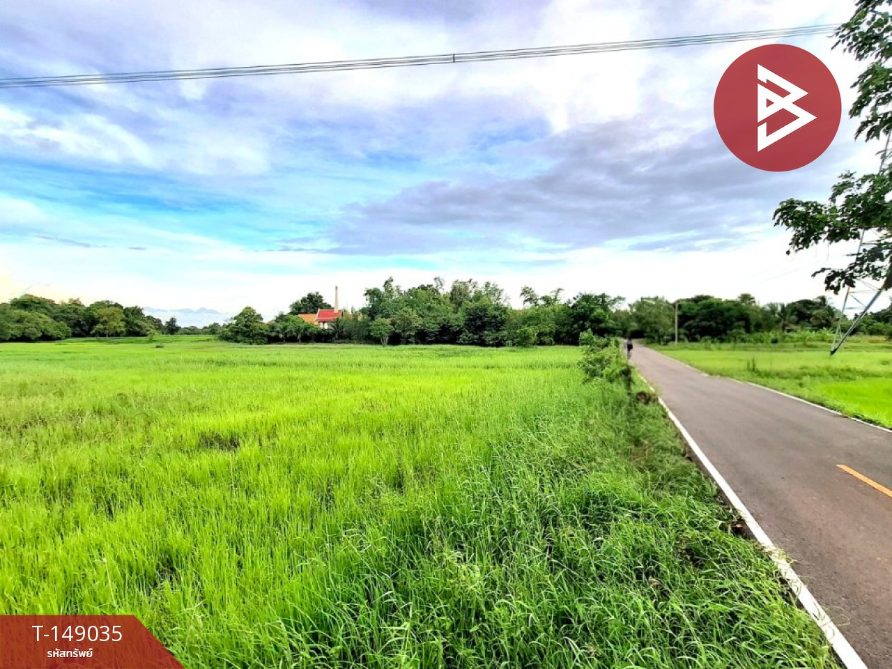Land for sale, area 6 rai 88 sq m, Changhan, Roi Et. – รูปที่ 2