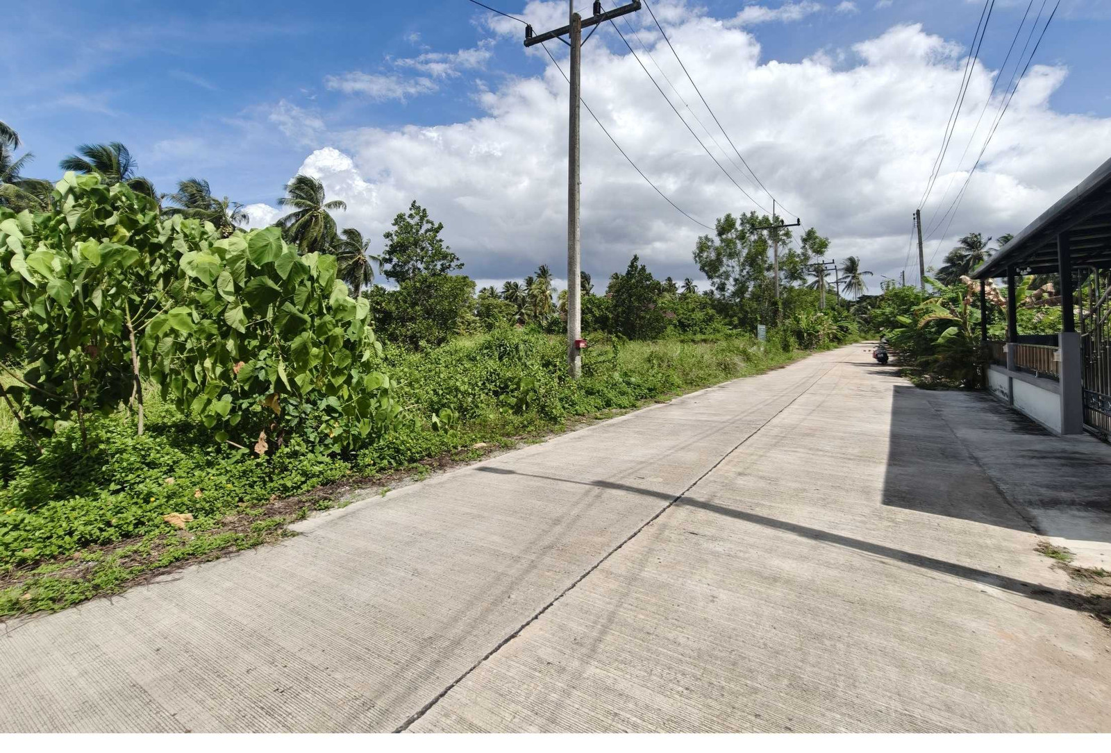 Empty land behind PTT gas station, Wat Pradu, Surat Thani. – รูปที่ 3