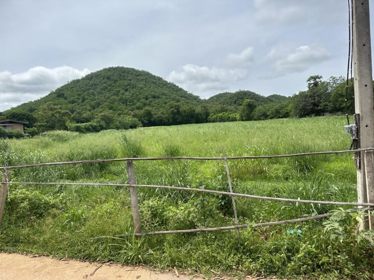 ที่ดินแปลงใหญ่ ทางขึ้นเขาใหญ่กิโล9  – รูปที่ 4