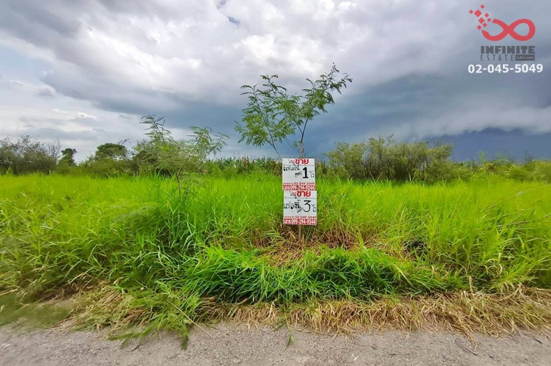 ขายที่ดิน 3 ไร่ ลำลูกกา คลอง 12 ปทุมธานี ใกล้สนามกอล์ฟเรนวูดปาร์ค แปลงสวย   – รูปที่ 3