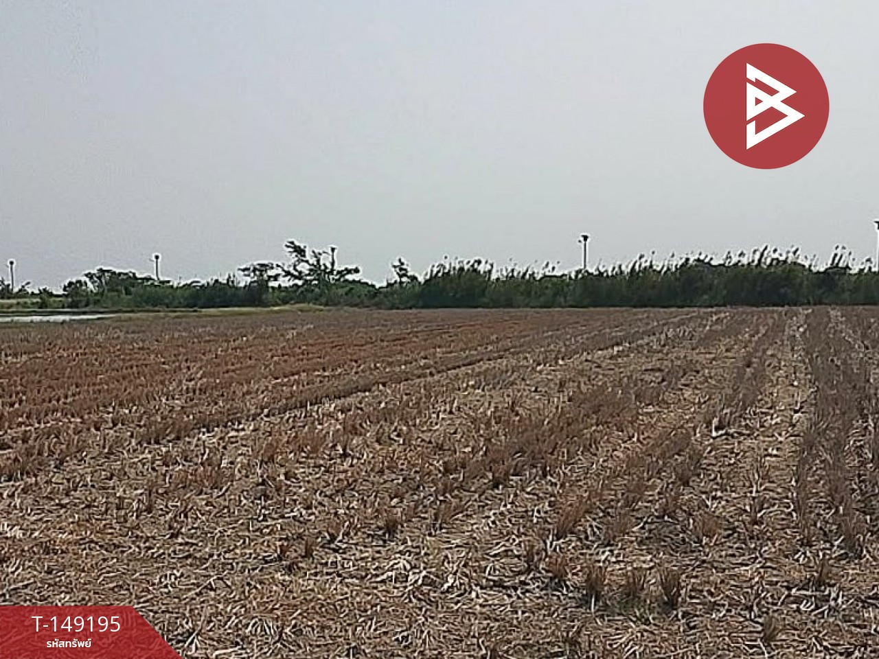 Land for sale, area 3 rai 7.1 square wa, Kamphaeng Saen, Nakhon Pathom. Land for sale, area 3 rai 7.1 square wa, Kamphaeng Saen, Nakhon Pathom.