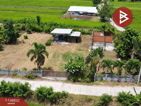 Land for sale, area 5 rai 99.1 square wa, Pa Sang, Lamphun.
