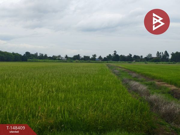 Land for sale 7 rai 3 ngan 95.4 square wah, Thung Khok Subdistrict, Song Phi Nong District. Suphanburi Province