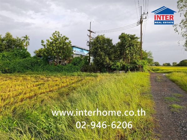Empty land 3 rai 206.1 sq m. land, Soi Saladaeng 11, Suwinthawong Road. Bang Nam Priao Road Bang Nam Priao, Chachoengsao