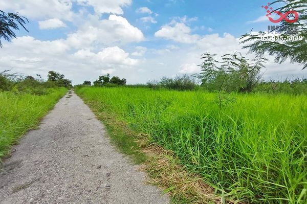Land for sale, 3 rai, Lam Luk Ka, Khlong 12, Pathum Thani, near Rainwood Park Golf Course, beautiful plot.