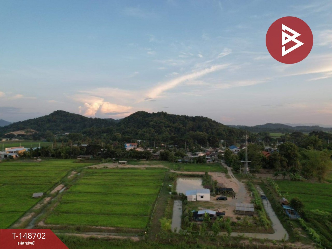 Single house with land for sale, area 9 rai 3 ngan 62.3 sq m, Thoeng, Chiang Rai. – รูปที่ 4