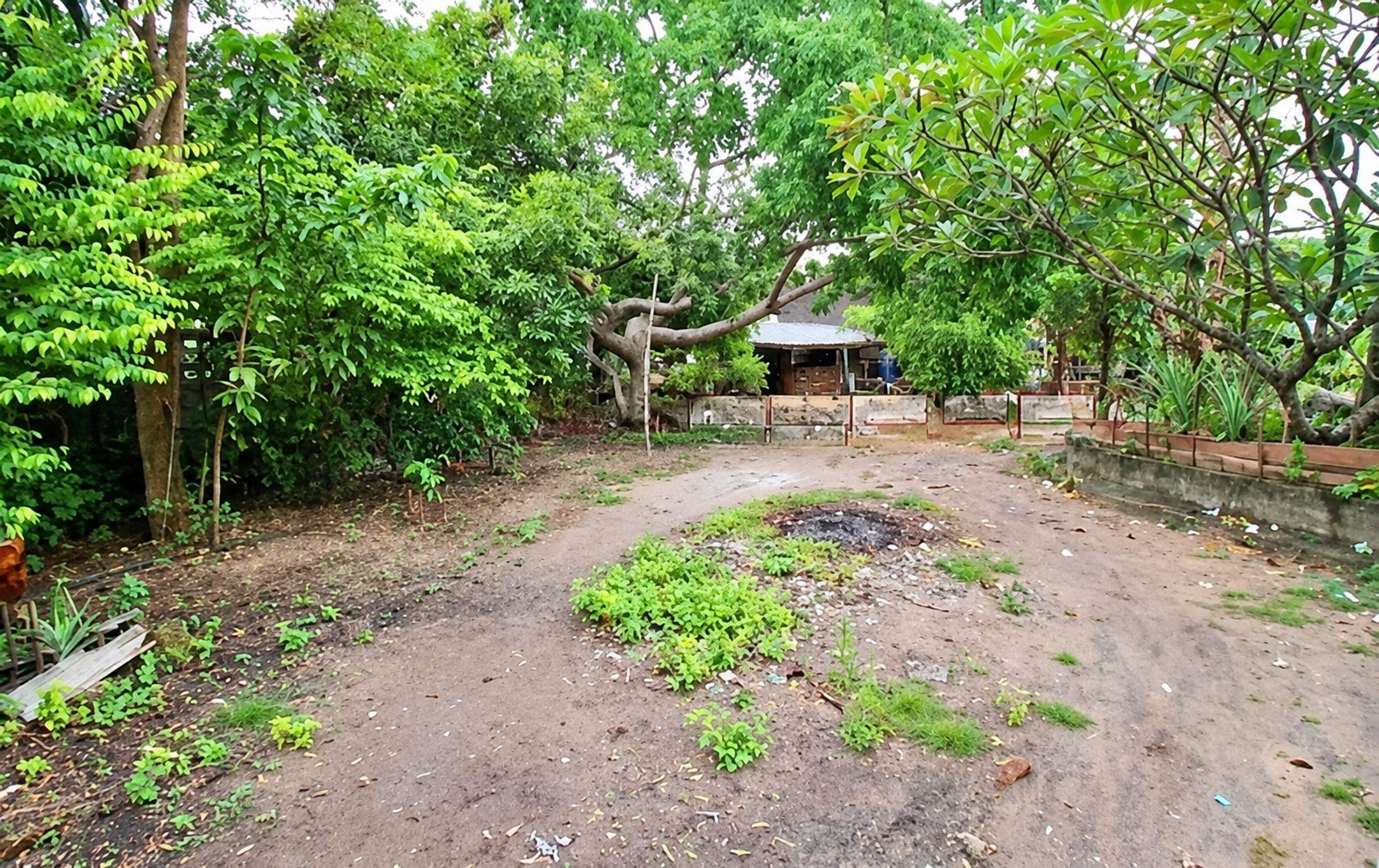 Land for sale, 4 rai, Phanat Nikhom, with house and banana garden, near Lotus, prime location.