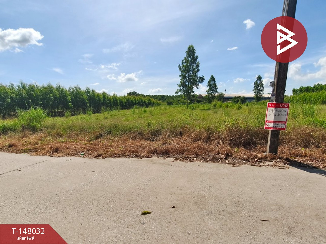 Land for sale, area 9 rai 36 sq m, Phanom Sarakham, Chachoengsao. – รูปที่ 3