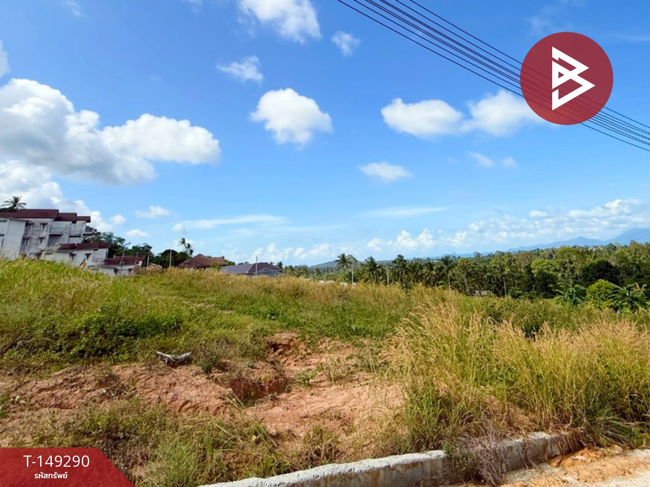 Land for sale, area 1 rai, Koh Samui, Surat Thani. Land for sale, area 1 rai, Koh Samui, Surat Thani.