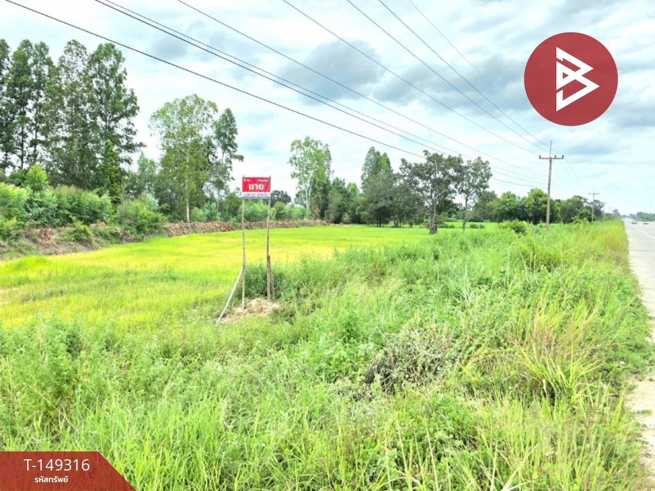 Land for sale, area 6 rai 1 ngan, Na Dun, Maha Sarakham, next to the road. – รูปที่ 2