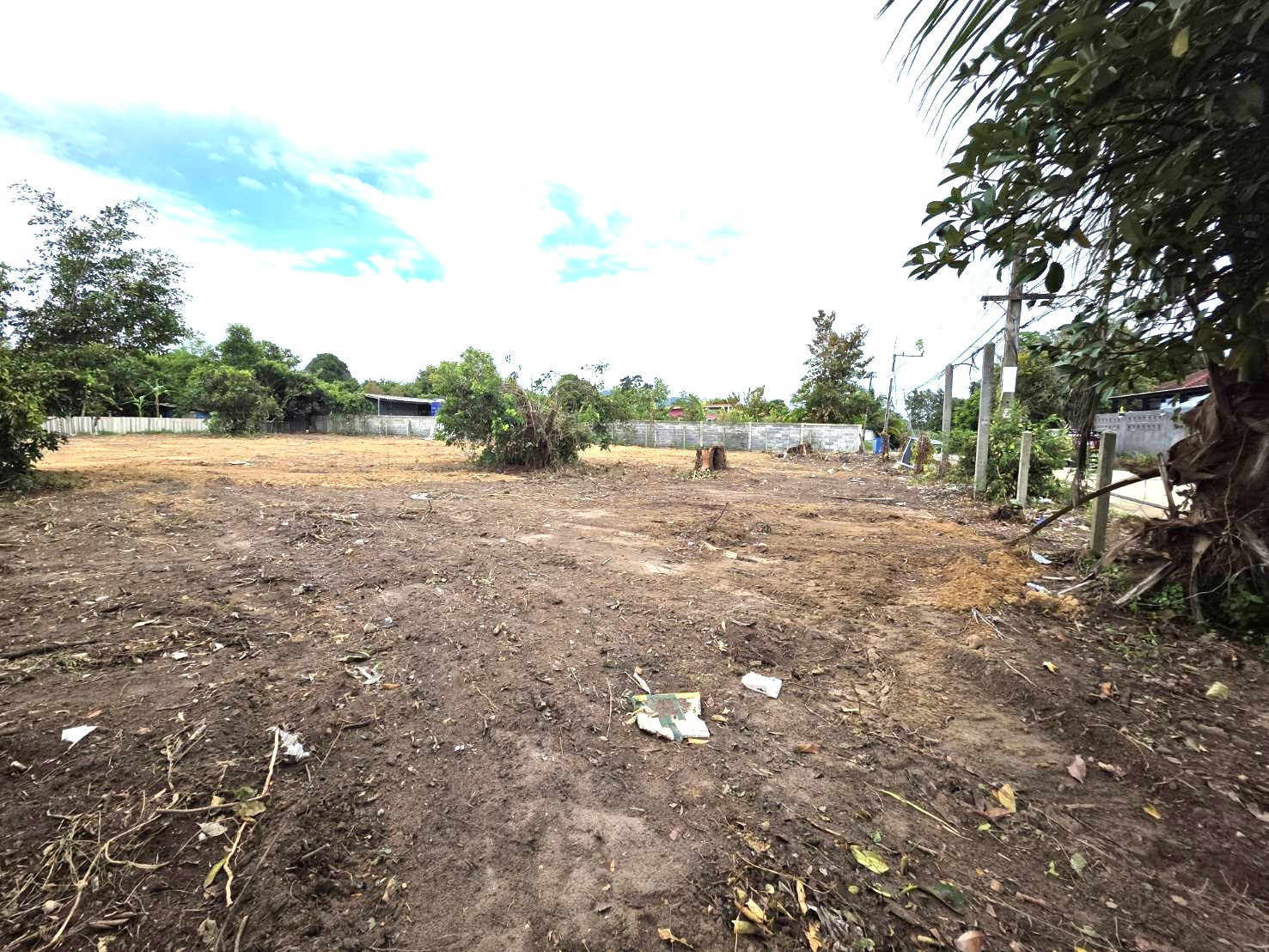 High Profitable to Build and Sell!! Prime Land for Sale 178 sq.wah in Na Ta Khwan, Mueang Rayong, Rayong Province  – รูปที่ 3