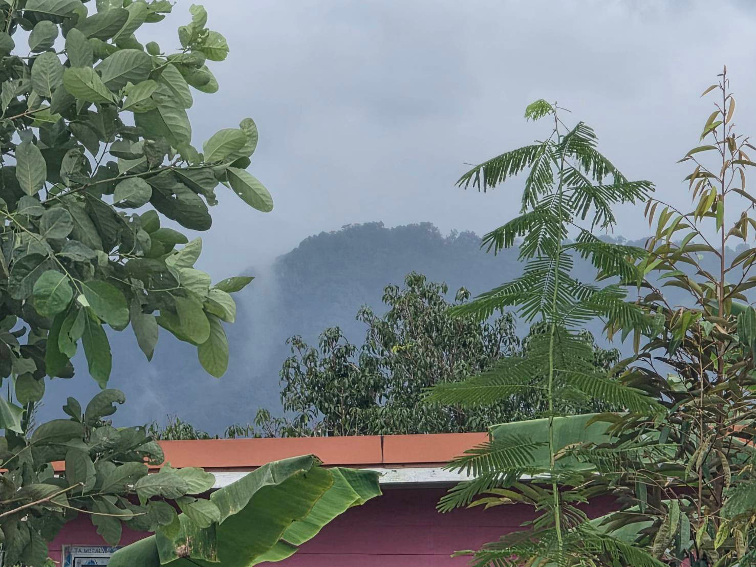 Build Your Dream Home Here! Prime Land in Rayong — Fully Filled and Ready to Build! Land for Sale: 202 sq.wah (808 sq.m.) Na Ta Khwan Subdistrict, Mueang Rayong District, Rayong Province – รูปที่ 3