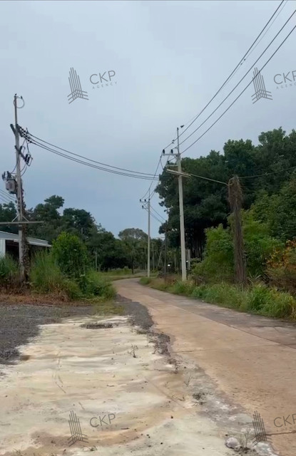L260144 | ขายที่ดินแปลงสวย 300 ตร.ว. (ถมแล้ว) เขาวัว ท่าใหม่ จันทบุรี เหมาะสร้างบ้าน ล้งทุเรียน และโฮมสเตย์ – รูปที่ 4