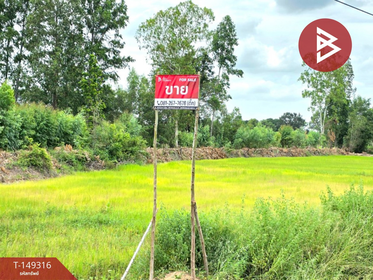 Land for sale, area 6 rai 1 ngan, Na Dun, Maha Sarakham, next to the road. Land for sale, area 6 rai 1 ngan, Na Dun, Maha Sarakham, next to the road.