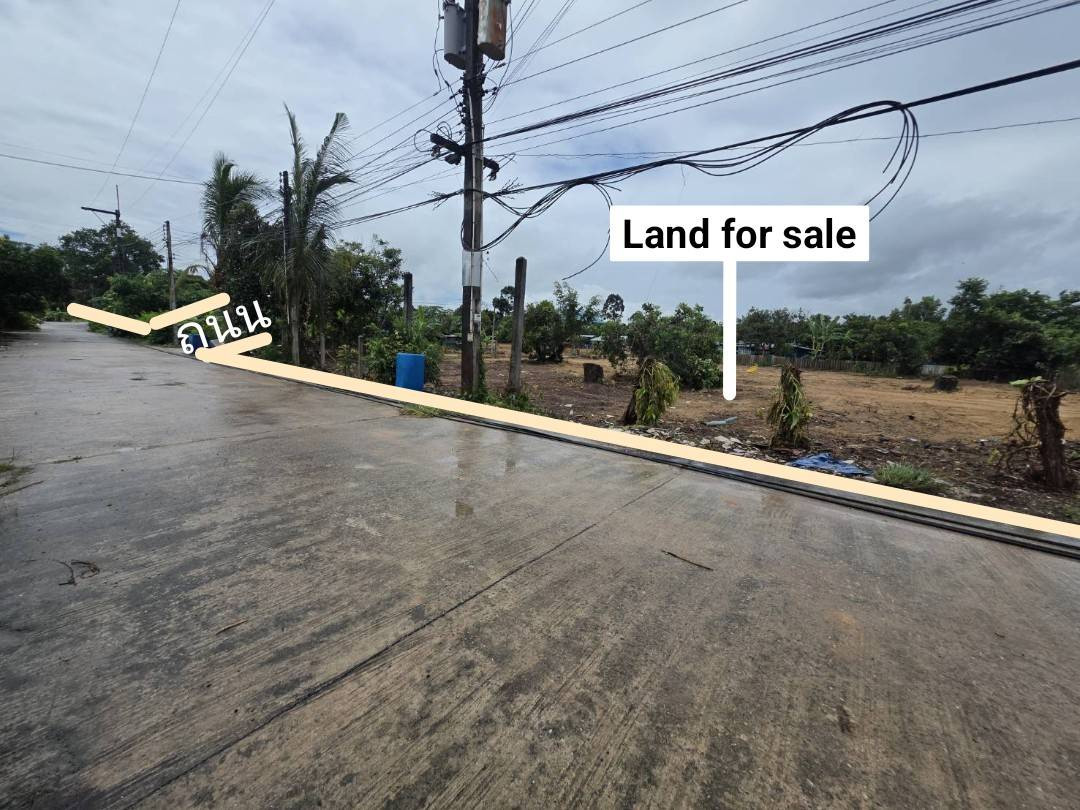 Build Your Dream Home Here! Prime Land in Rayong — Fully Filled and Ready to Build! Land for Sale: 202 sq.wah (808 sq.m.) Na Ta Khwan Subdistrict, Mueang Rayong District, Rayong Province – รูปที่ 2
