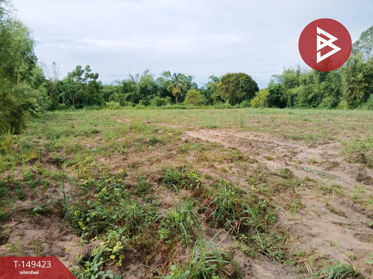 Land for sale, area 3 rai 2 ngan 54 square wah, Khao Hin Son, Phanom Sarakham, Chachoengsao.