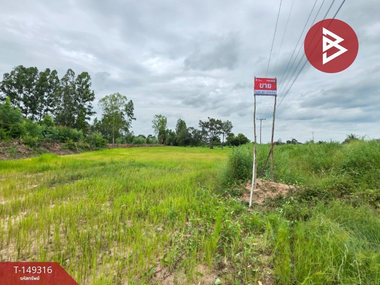 Land for sale, area 6 rai 1 ngan, Na Dun, Maha Sarakham, next to the road. – รูปที่ 4