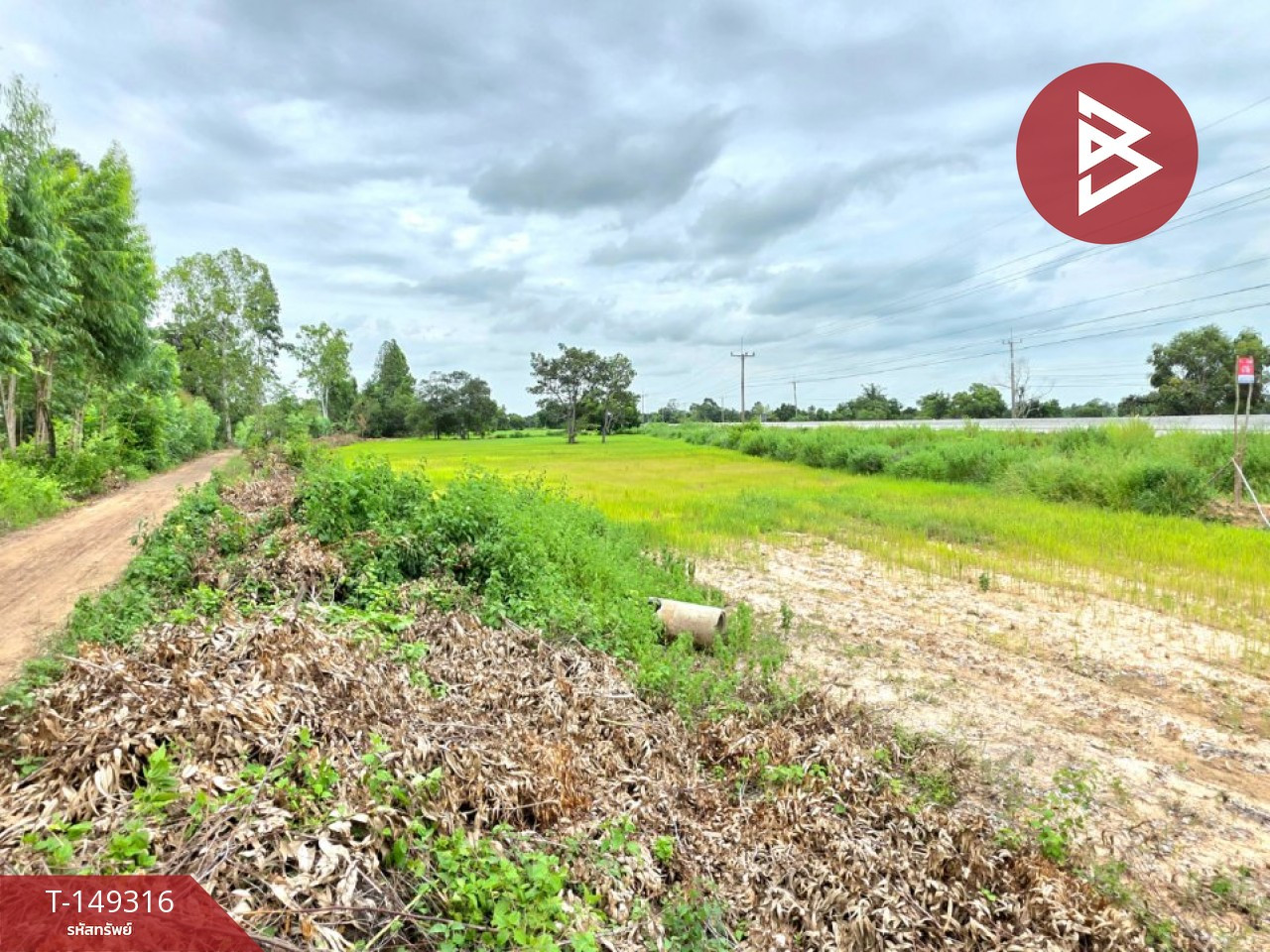 Land for sale, area 6 rai 1 ngan, Na Dun, Maha Sarakham, next to the road. – รูปที่ 3