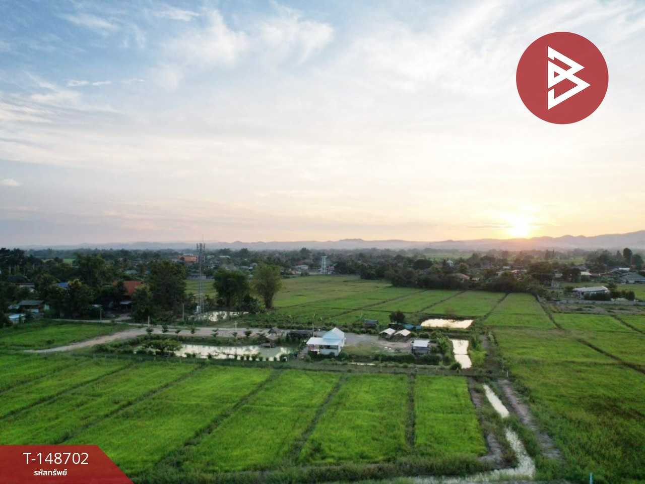 Single house with land for sale, area 9 rai 3 ngan 62.3 sq m, Thoeng, Chiang Rai. – รูปที่ 3
