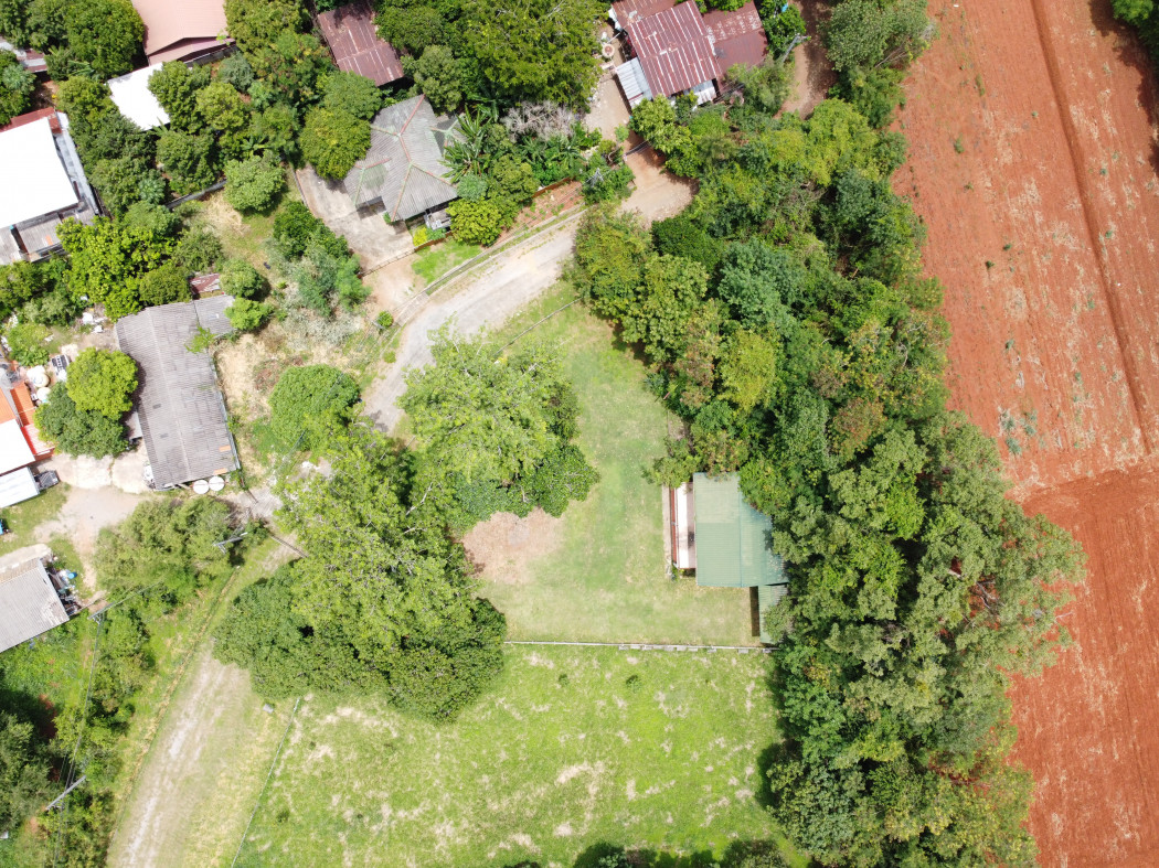 ขาย ที่ดิน แถมบ้าน คาซ่า เขาใหญ่ 3 งาน 27 ตรว ใกล้ถนนธนะรัชต์ เพียง 1.7 กม. – รูปที่ 4