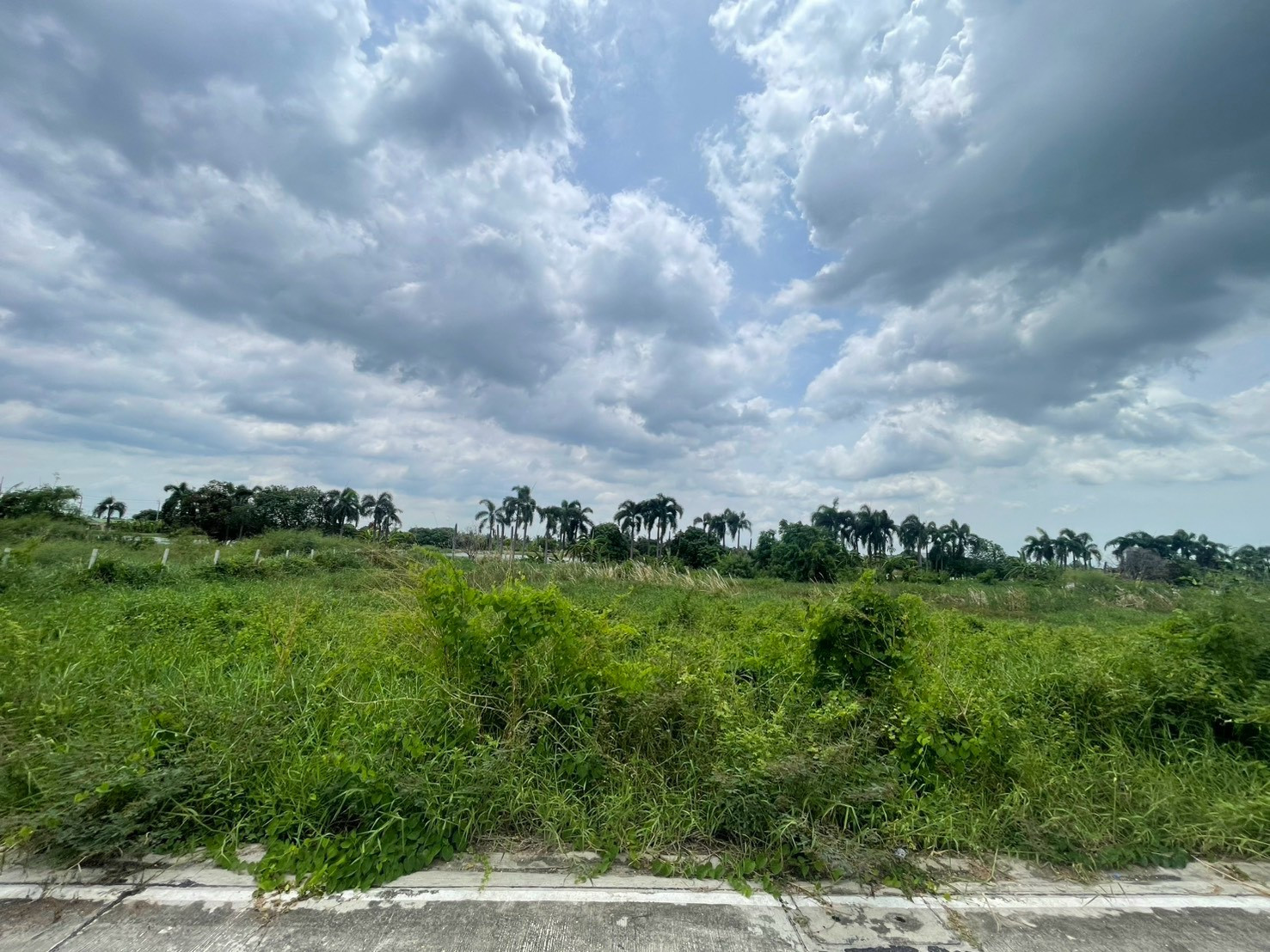 ขายที่ดินถมแล้วพร้อมสร้าง! 409 ตร.ว. ทำเลดี บางนา-ตราด ใกล้สุวรรณภูมิ – รูปที่ 3