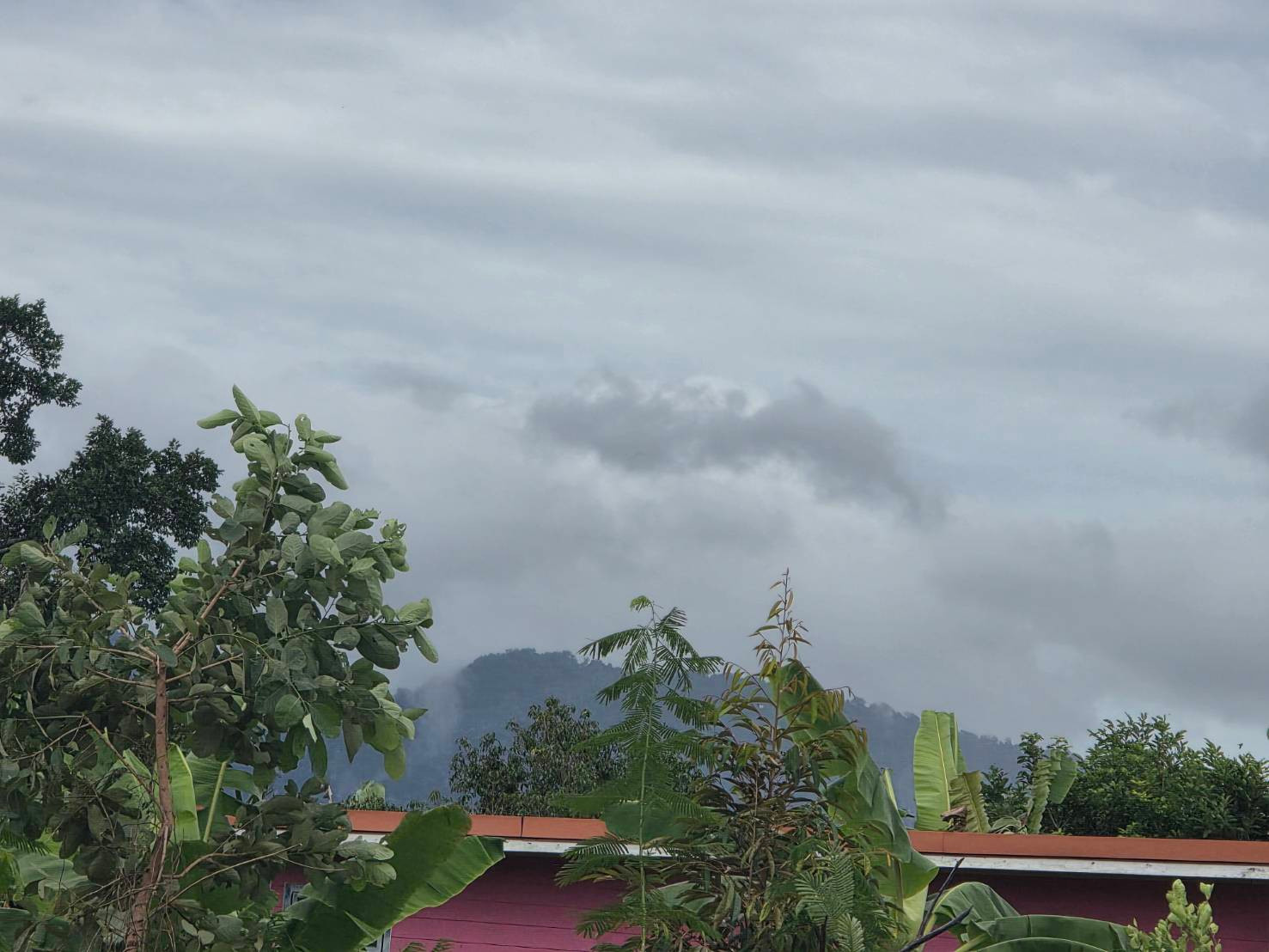 High Profitable to Build and Sell!! Prime Land for Sale 178 sq.wah in Na Ta Khwan, Mueang Rayong, Rayong Province  – รูปที่ 2