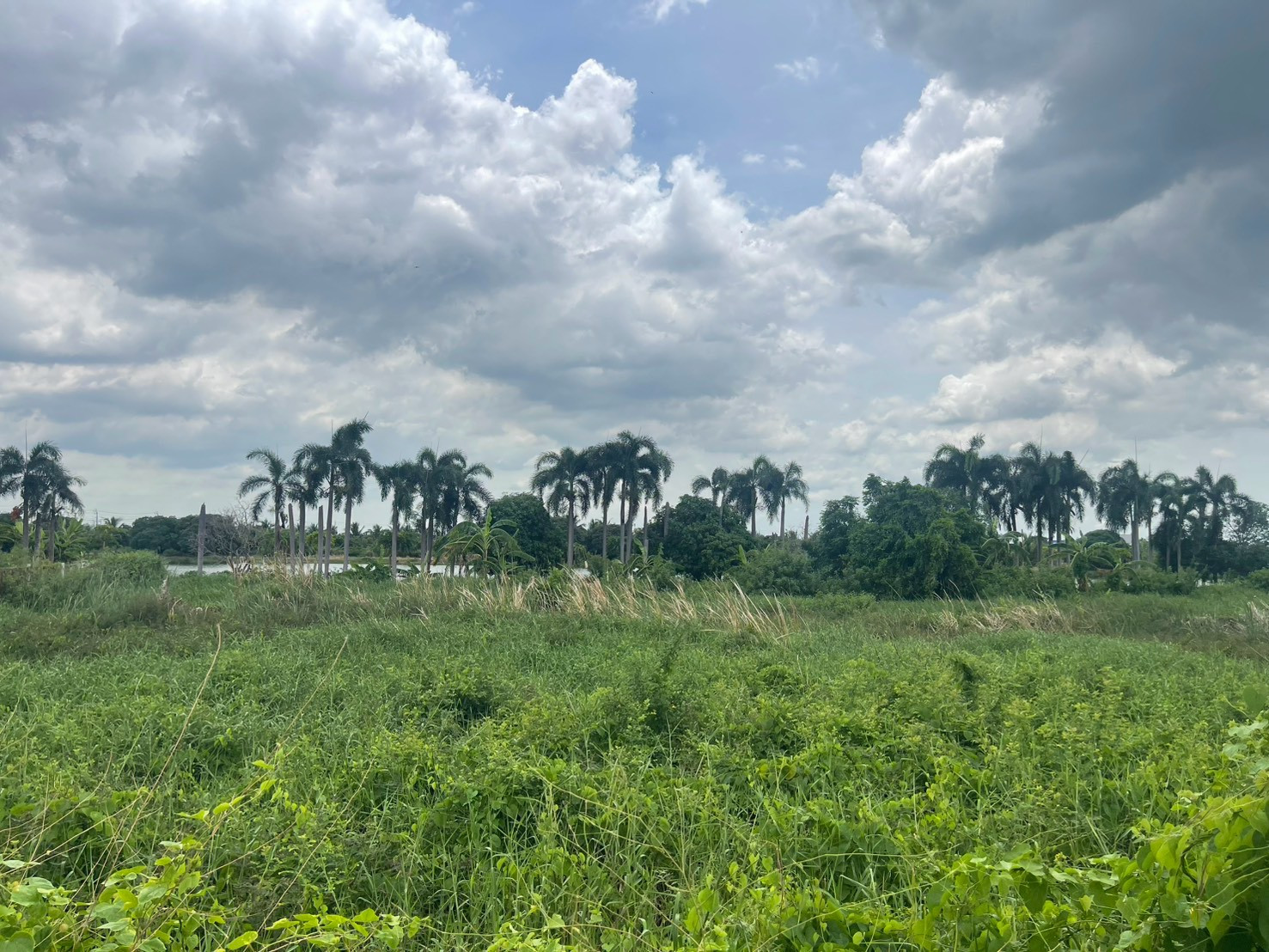 ขายที่ดินถมแล้วพร้อมสร้าง! 409 ตร.ว. ทำเลดี บางนา-ตราด ใกล้สุวรรณภูมิ – รูปที่ 4