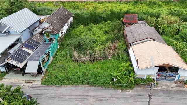 Empty land 1 ngan 18 sq m. Rangsit-Nakhon Nayok 55, already filled, cheap price. – รูปที่ 3