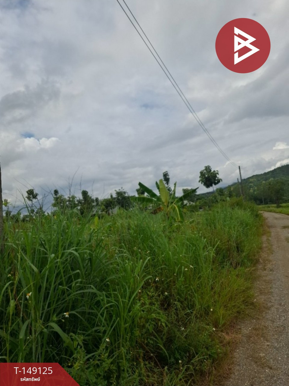 2 adjacent plots of land for sale, starting area 2 rai 95 sq m, Thoeng, Chiang Rai. – รูปที่ 2