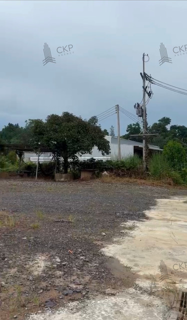L260144 | ขายที่ดินแปลงสวย 300 ตร.ว. (ถมแล้ว) เขาวัว ท่าใหม่ จันทบุรี เหมาะสร้างบ้าน ล้งทุเรียน และโฮมสเตย์ – รูปที่ 2